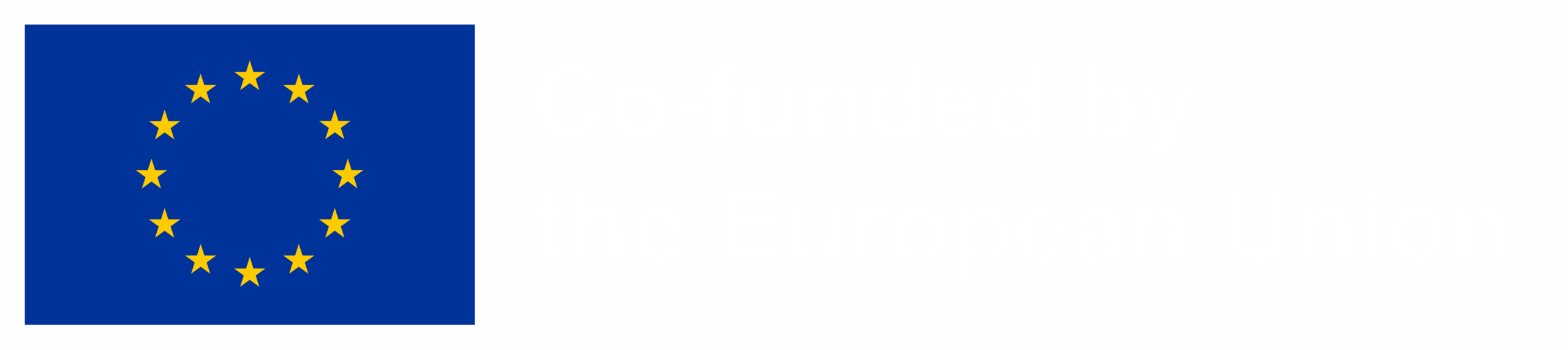 Co-funded by the European Union
