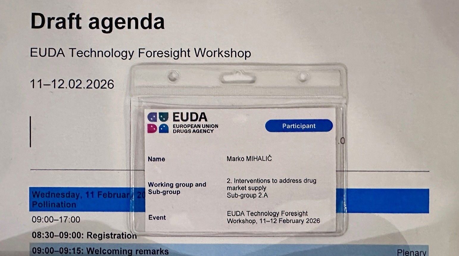 ARIEN at the EUDA Technology Foresight Workshop
